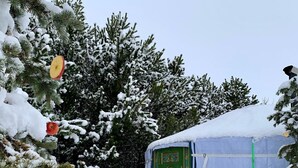 A snow-covered outdoor area with a green door and a tent-like structure.