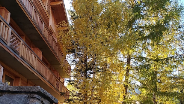 Eine Blockhütte mit steinernen Fundamenten, Holzbalkonen und einem umgebenden Wald mit Herbstlaub.