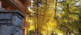 อาลบอร์ก โรงแรม