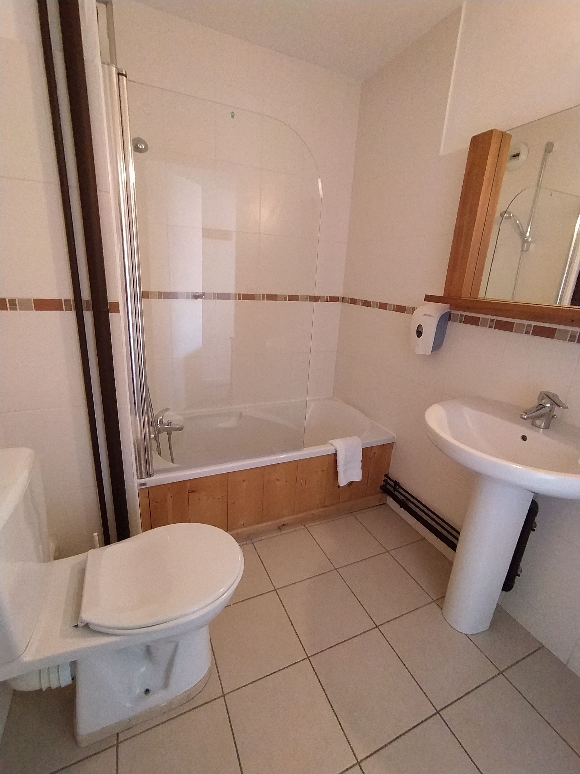 Une salle de bain avec douche, toilettes et lavabo.