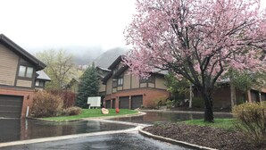 A residential area with houses, a tree with pink blossoms, and a wet driveway. - Prime Skier's Pad for a Magical Vacation (Cottonwood Heights)