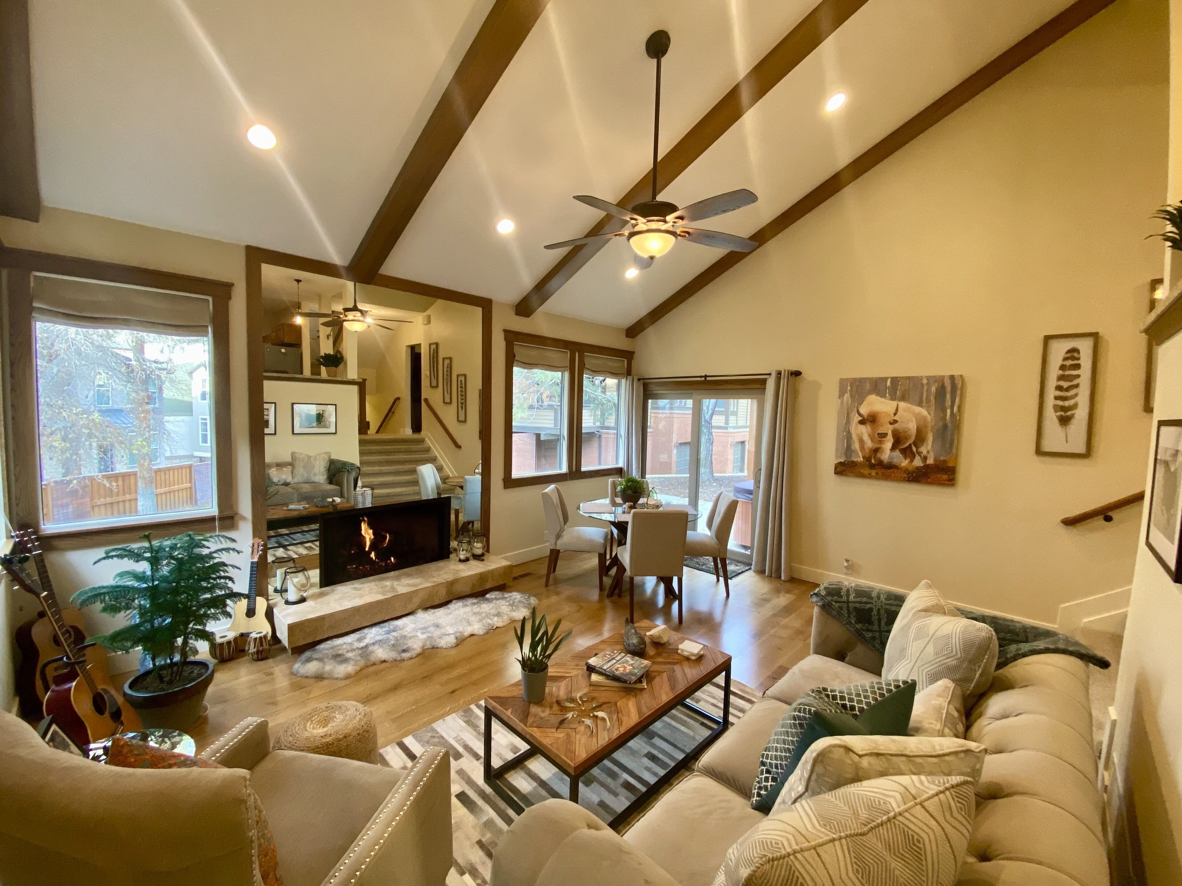 智能電視、壁爐、DVD 播放機、書籍