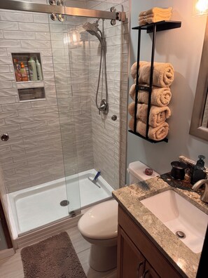 A modern bathroom with a glass-enclosed shower, a toilet, a sink, and a towel rack. - Riverfront, Hot tub, shared pool, minutes to slopes with large covered deck! (Banner Elk)
