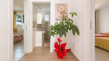 4 camere, ferro/asse da stiro, accesso a Internet