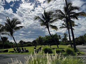 Property grounds - Paradise at the Waters Edge at Cabrita By The Sea includes Wifi (Red Hook)