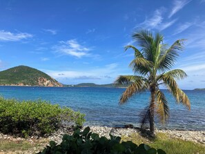 Ein Strand mit einer Palme, klarem blauen Wasser und einem entfernten Berg.