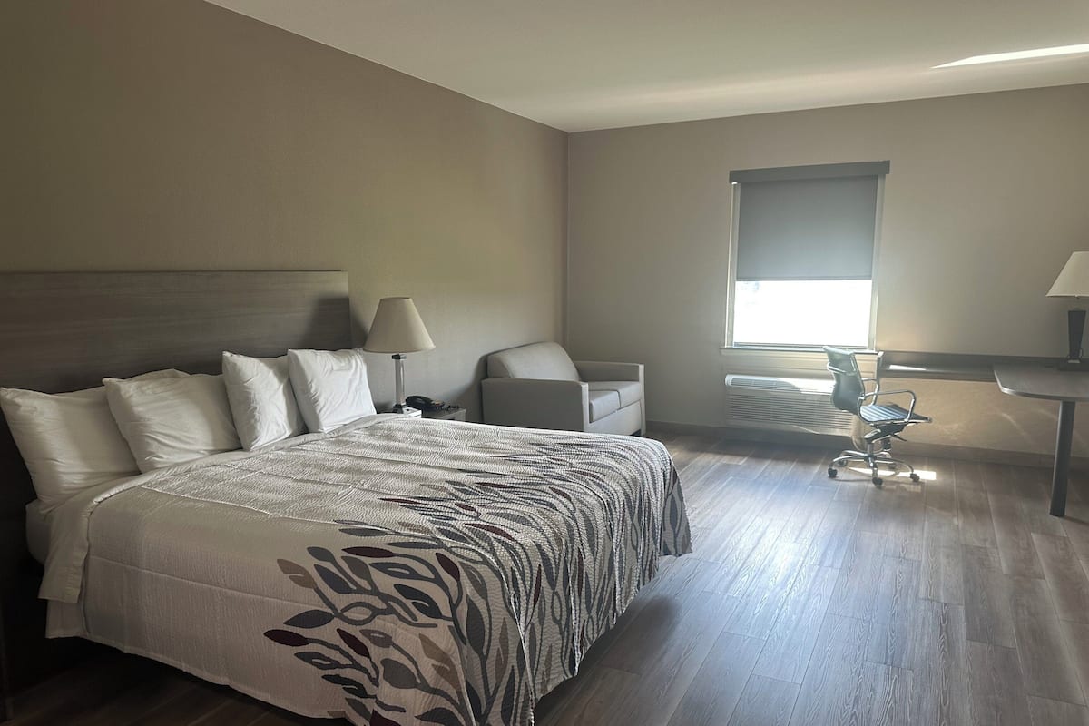 Superior Room, 1 King Bed, Non Smoking | Desk, laptop workspace, blackout curtains, rollaway beds