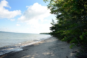 A beach with a sandy shore, calm water, and dense greenery on the right.