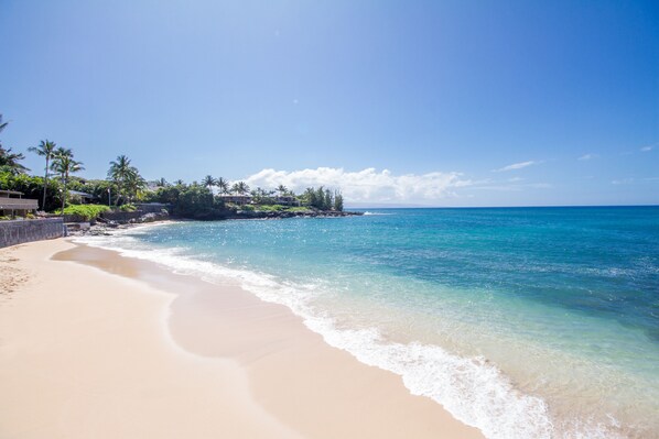 Enjoy stunning ocean views from this beachfront property, surrounded by palm trees and a stone wall.