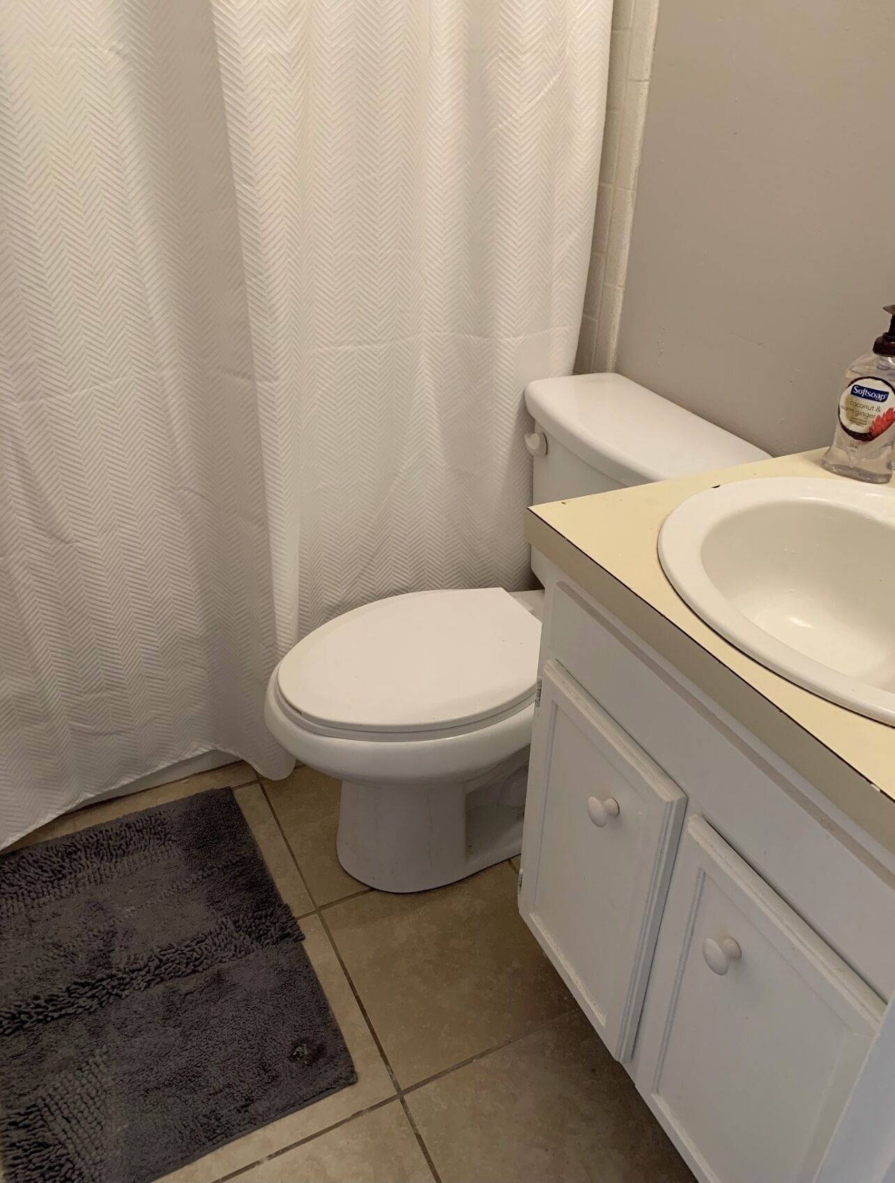 A bathroom with a toilet, a sink, and a shower curtain.
