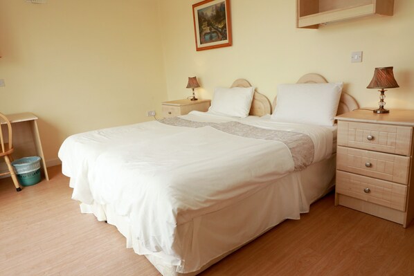 1 bedroom, iron/ironing board, WiFi, bed sheets - Sea View Apartment (Galway)