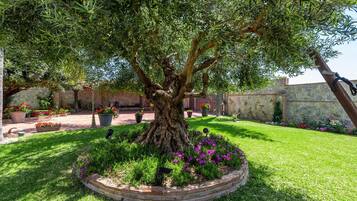 Terrein van de accommodatie