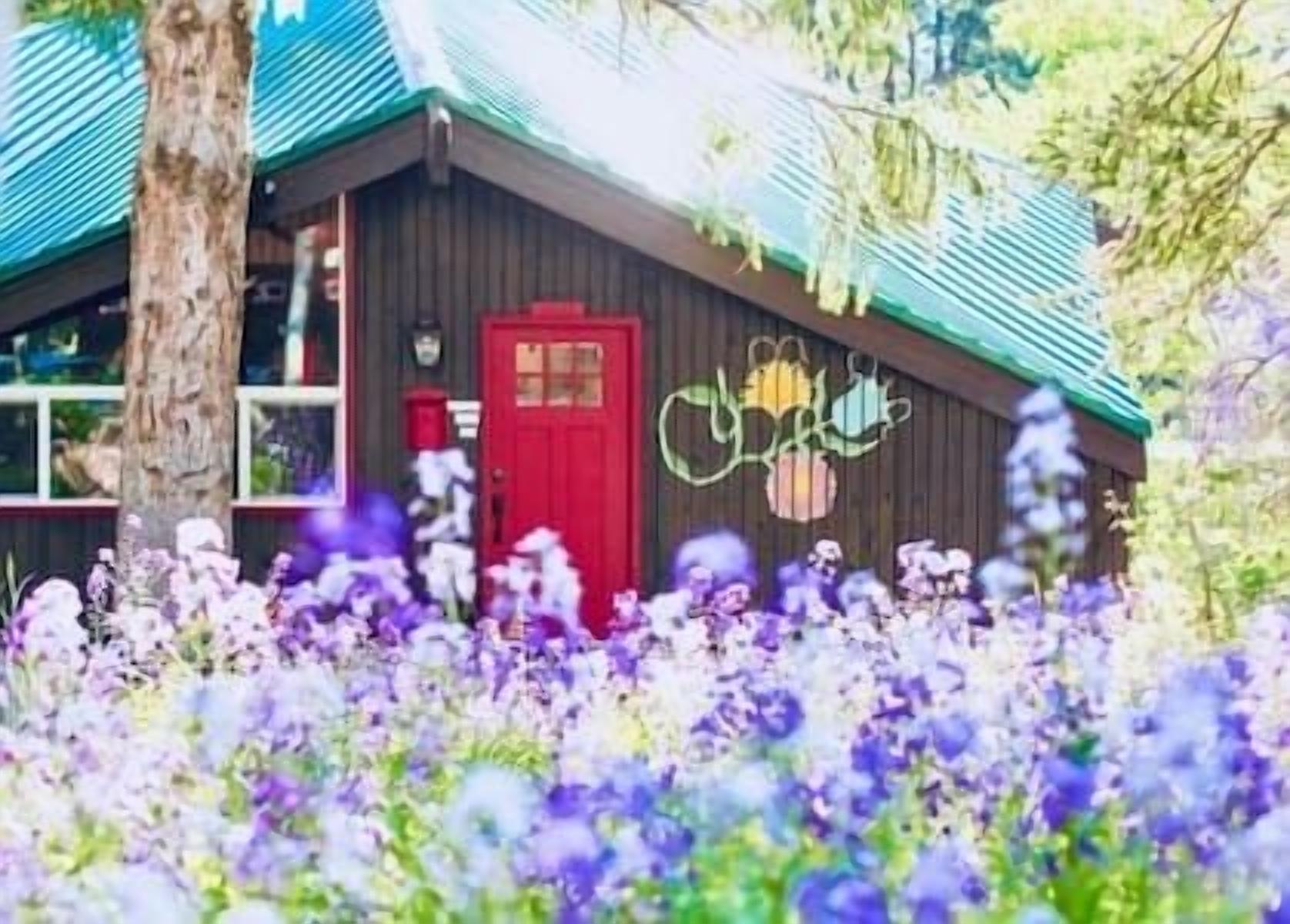 Hidden Gem! Swiss Cottage Ski Chalet