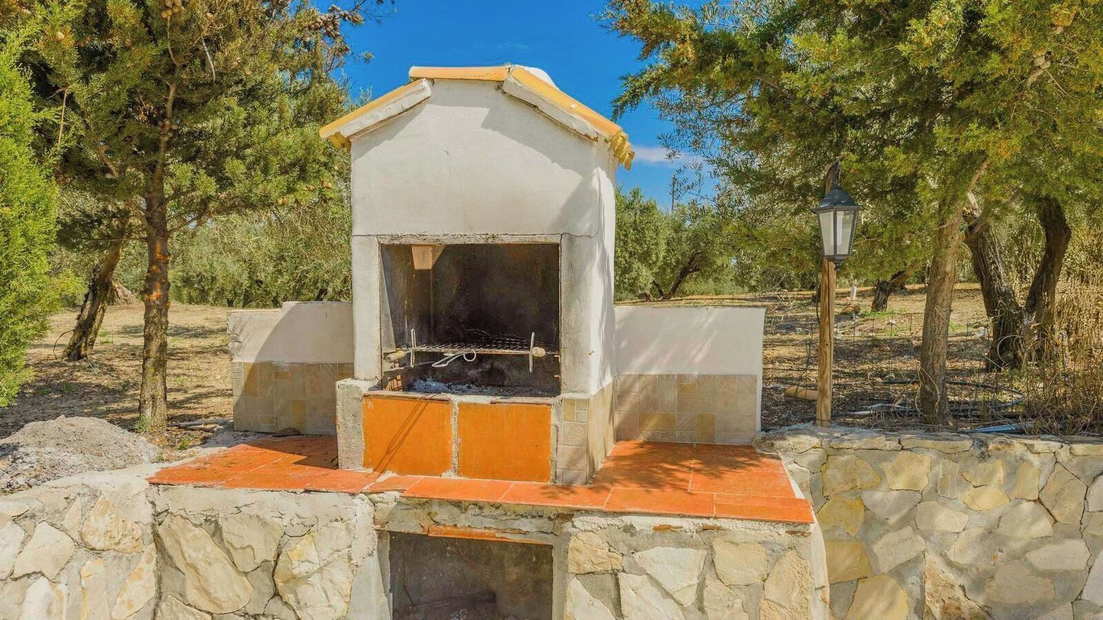 Un barbecue extérieur en pierre, doté d’une base carrelée, entouré d’arbres et sous un ciel dégagé.