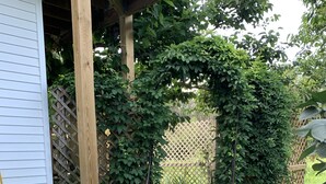 A gravel pathway leading through a garden with a wooden pergola structure and a lattice fence.