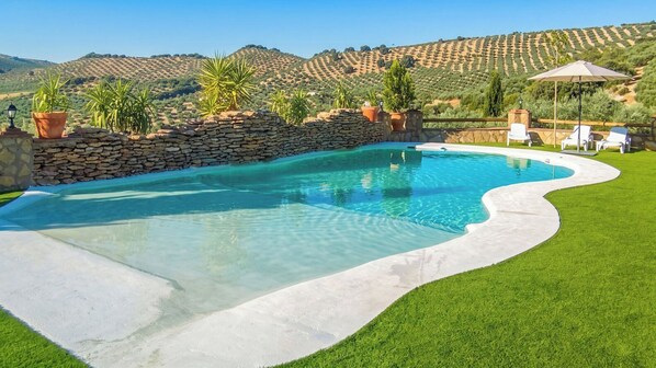 A swimming pool with a stone wall and grass edging, surrounded by a lawn and potted plants.