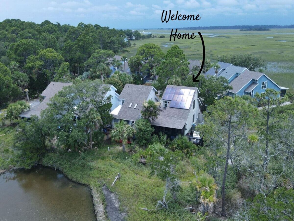 An aerial view of a residential area with houses surrounded by lush greenery and a body of water.