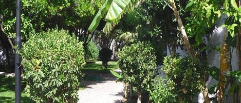 Áreas de la propiedad