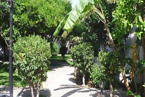 Stroll along the winding garden pathway, lined with lush greenery and banana trees, leading to a serene shaded area.