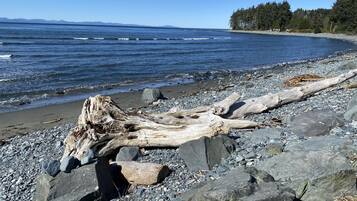 在海灘附近、沙灘巾