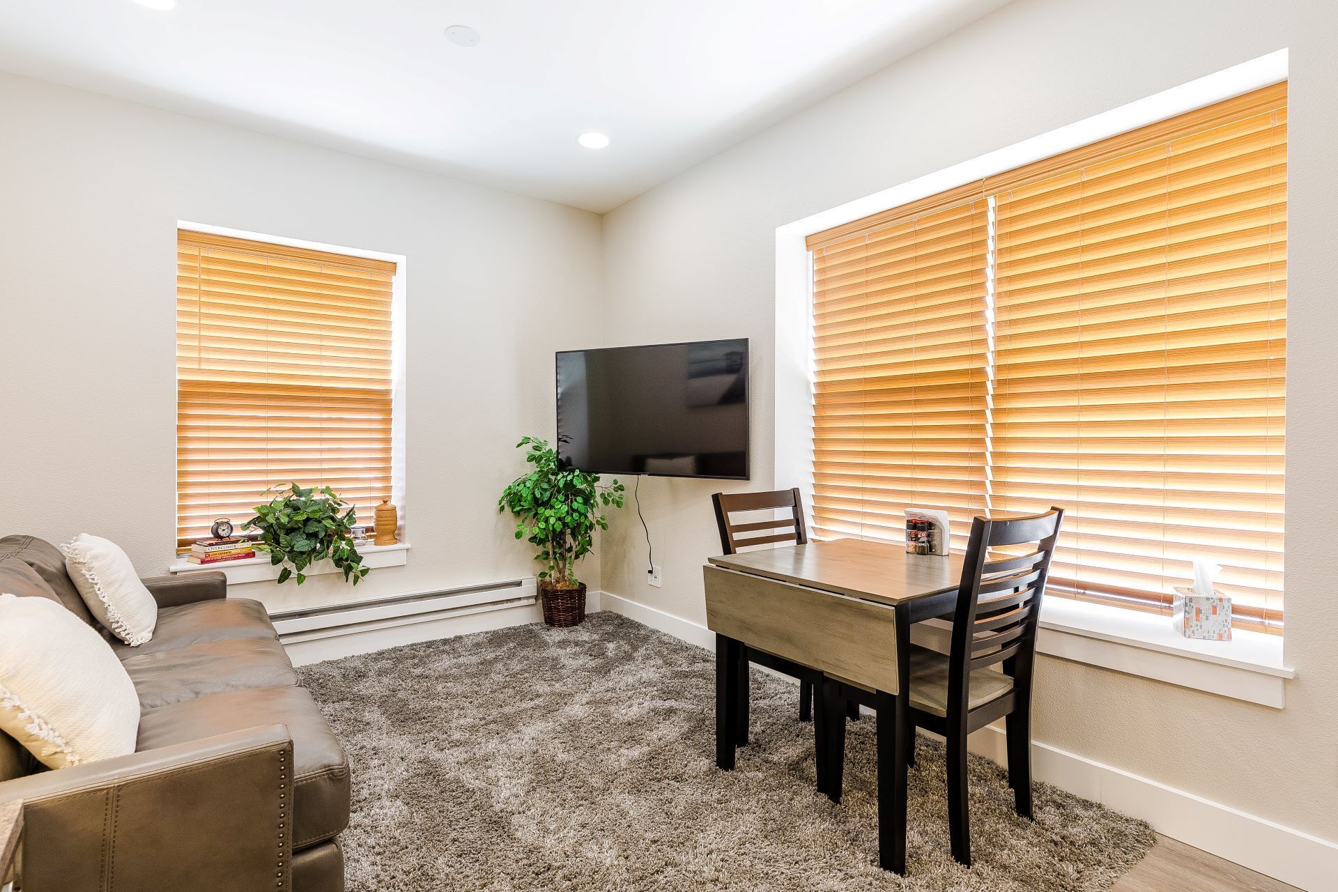 Furnished & Updated Downtown Apartment