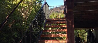 Close to all the best of Nelson!