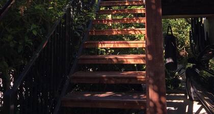 Close to all the best of Nelson!