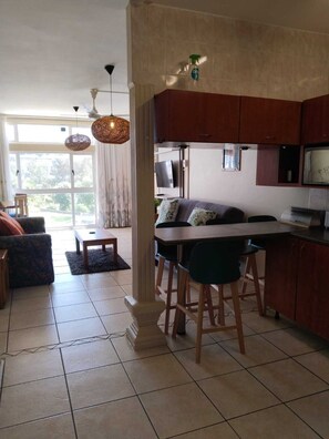 Televisión de pantalla plana