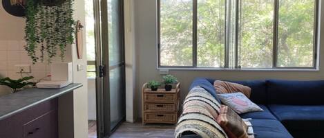 A living room with a sofa, a window with a view of trees, and a kitchen area with a hanging plant.