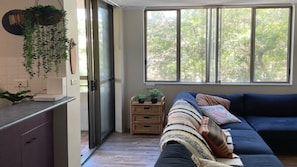A living room with a sofa, a window with a view of trees, and a kitchen area with a hanging plant.