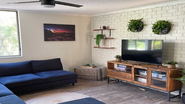 TV