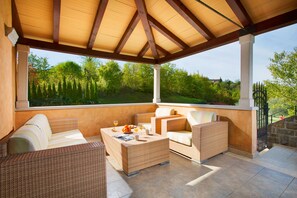 Terrace/patio - Villa Momiano (Buje)