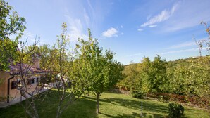 A residential area with a house, a well-maintained lawn, and a hill in the background.