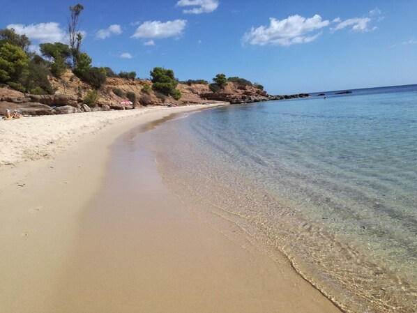 Playa en los alrededores y camastros 