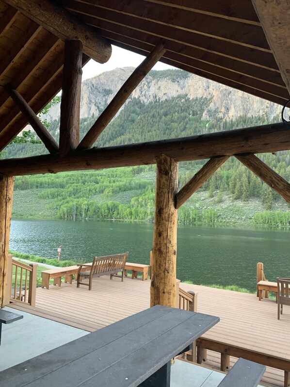 テラス / パティオ