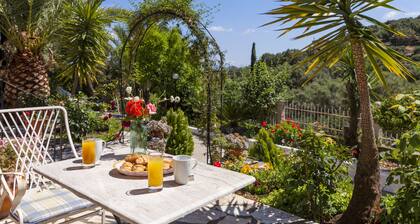 Barbati Panoramic Views