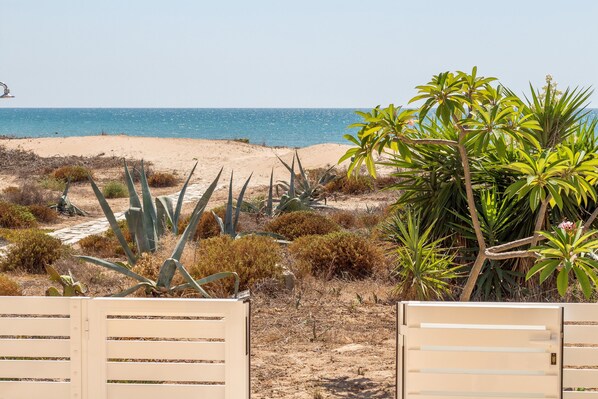 A beach view with a sandy shore, desert vegetation, and a clear sky.