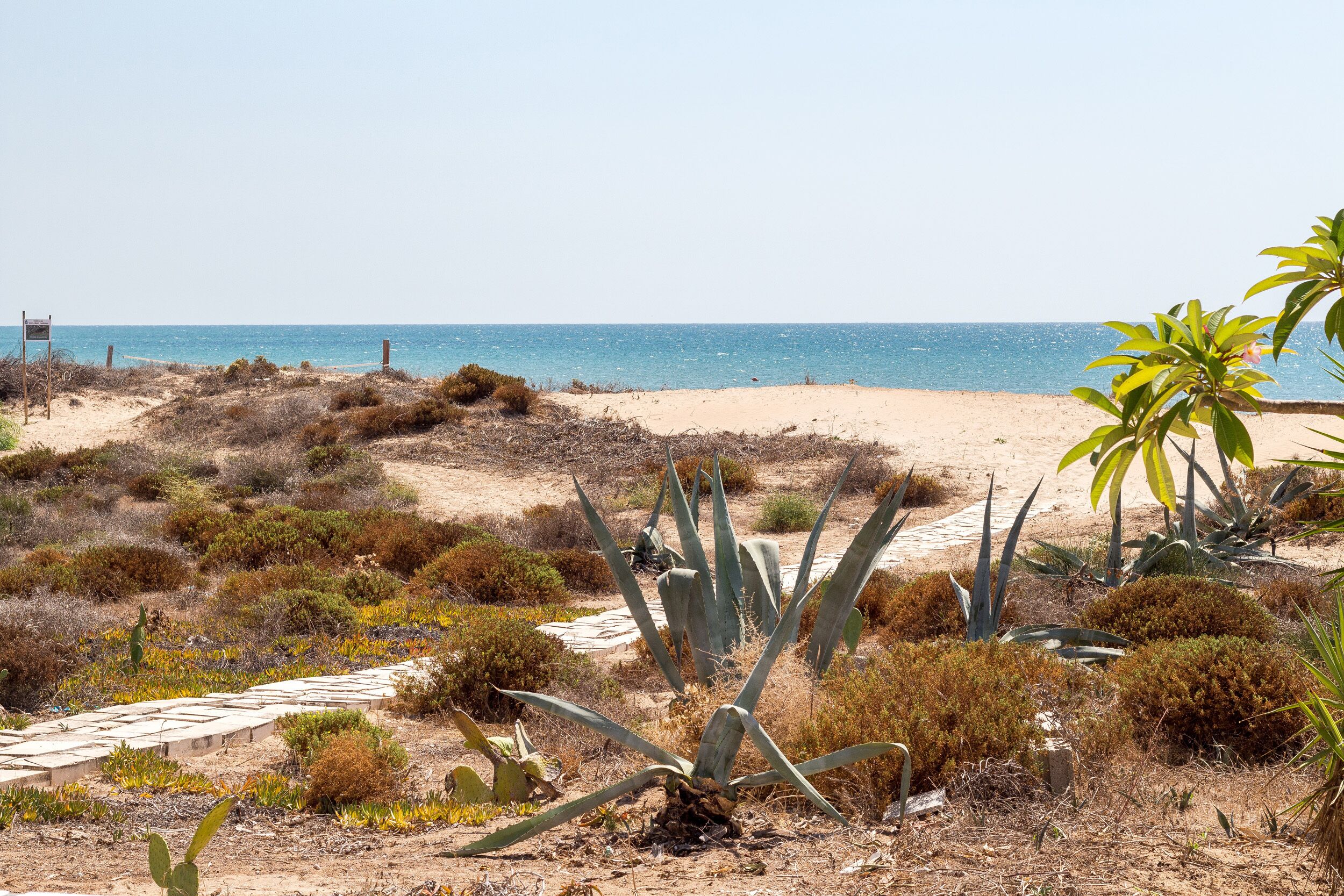 Ett ökenlandskap med en sandstrand, gles vegetation och en klar himmel.