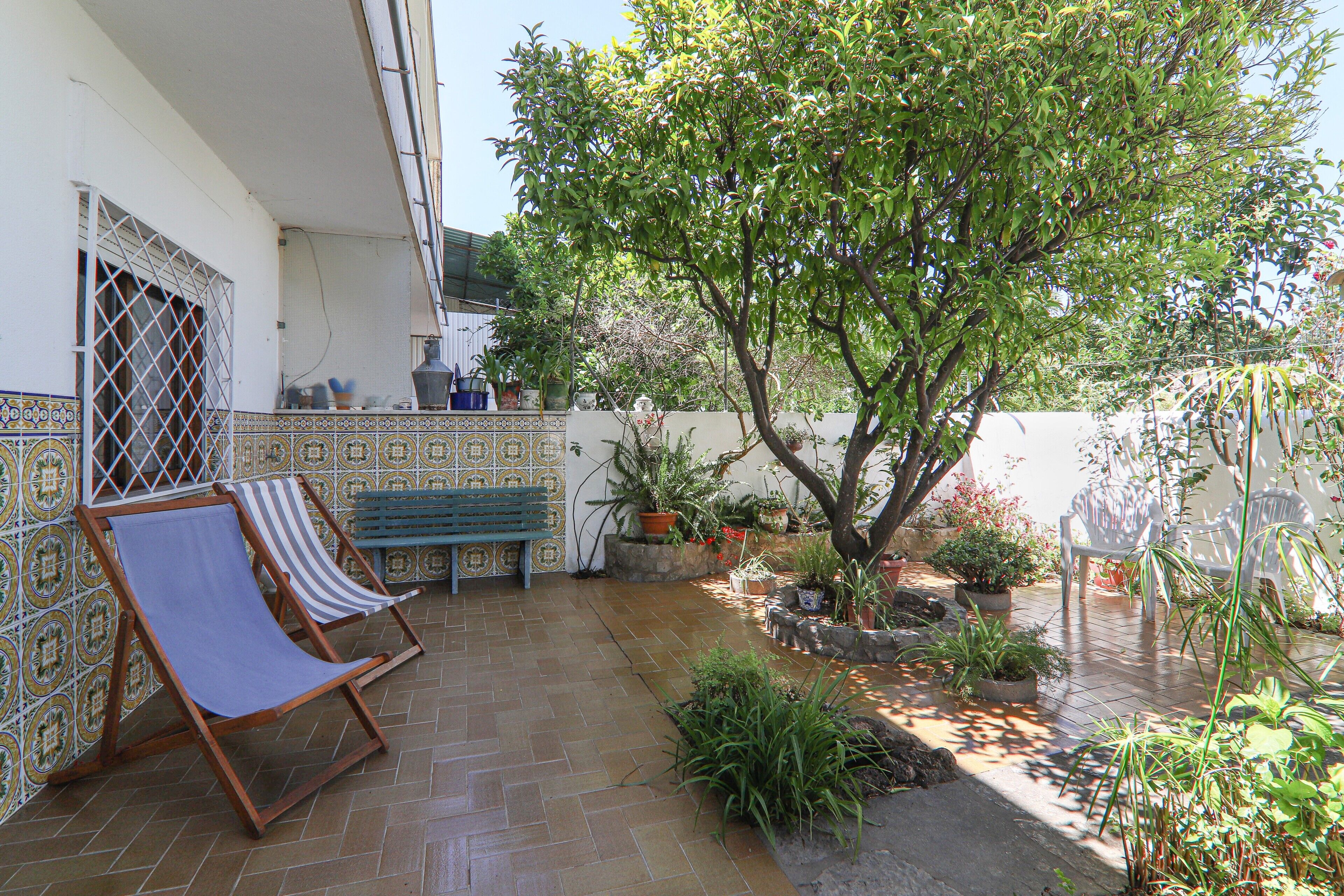 Un patio con una silla de madera, un banco, plantas en macetas y un árbol.