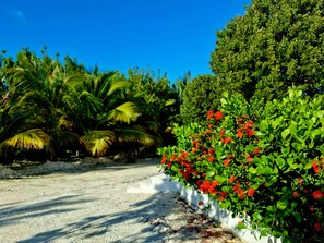 Overnatningsstedets område