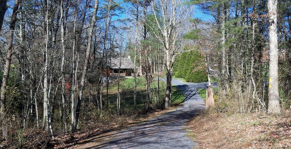Property grounds - Hide Away Log Cabin nestled in a serene setting in Beautiful Bath County, Va. (Warm Springs)