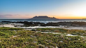 A coastal landscape with rocky terrain and sparse vegetation, a distant mountain, and a clear sky. - Belle Maroc (Cape Town)