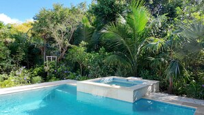 A rectangular swimming pool with clear blue water, surrounded by lush greenery and various plants.