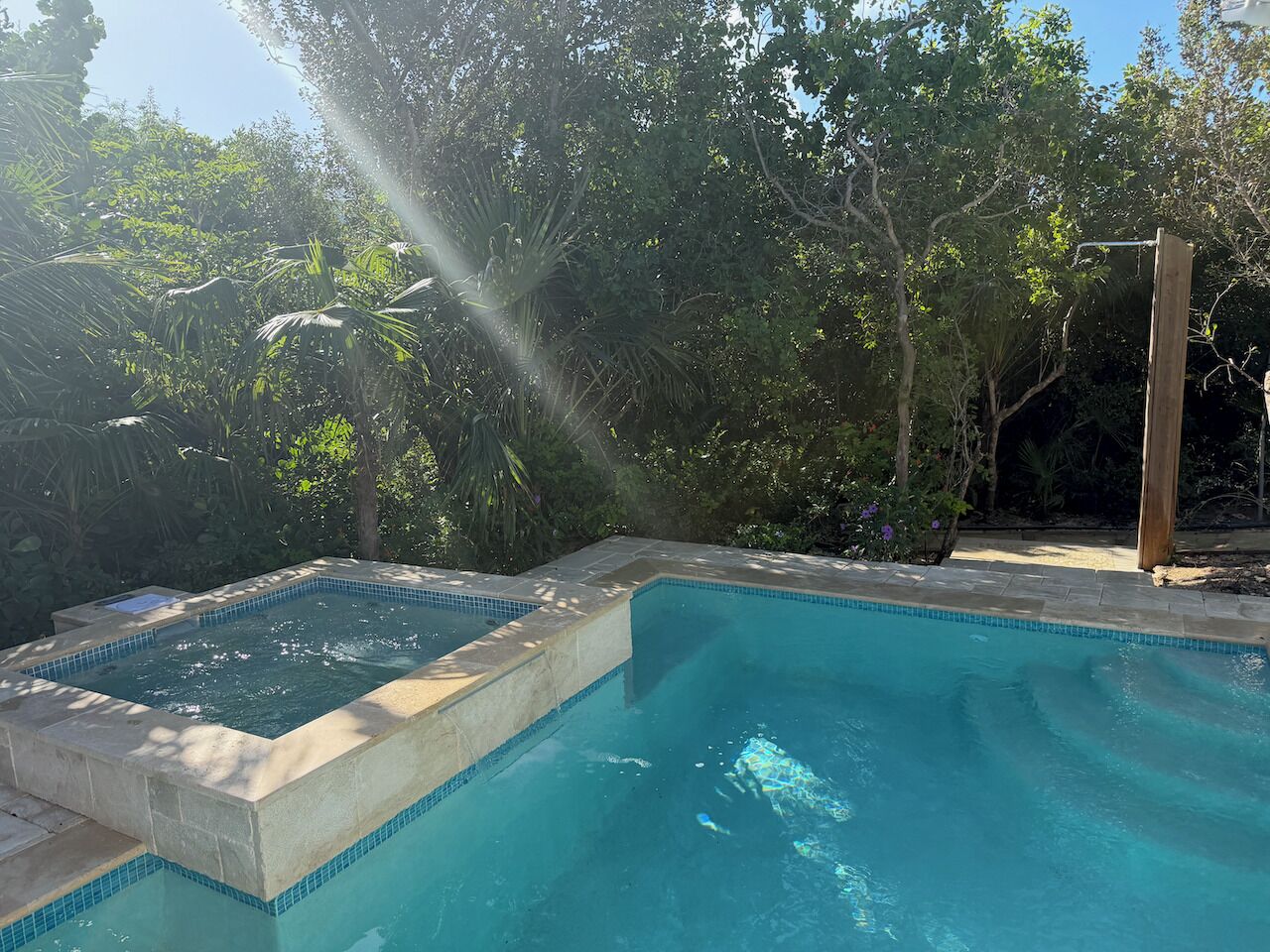 Una piscina rectangular con jacuzzi, rodeada de abundante vegetación y árboles.