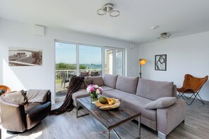 TV, fireplace, books, video library