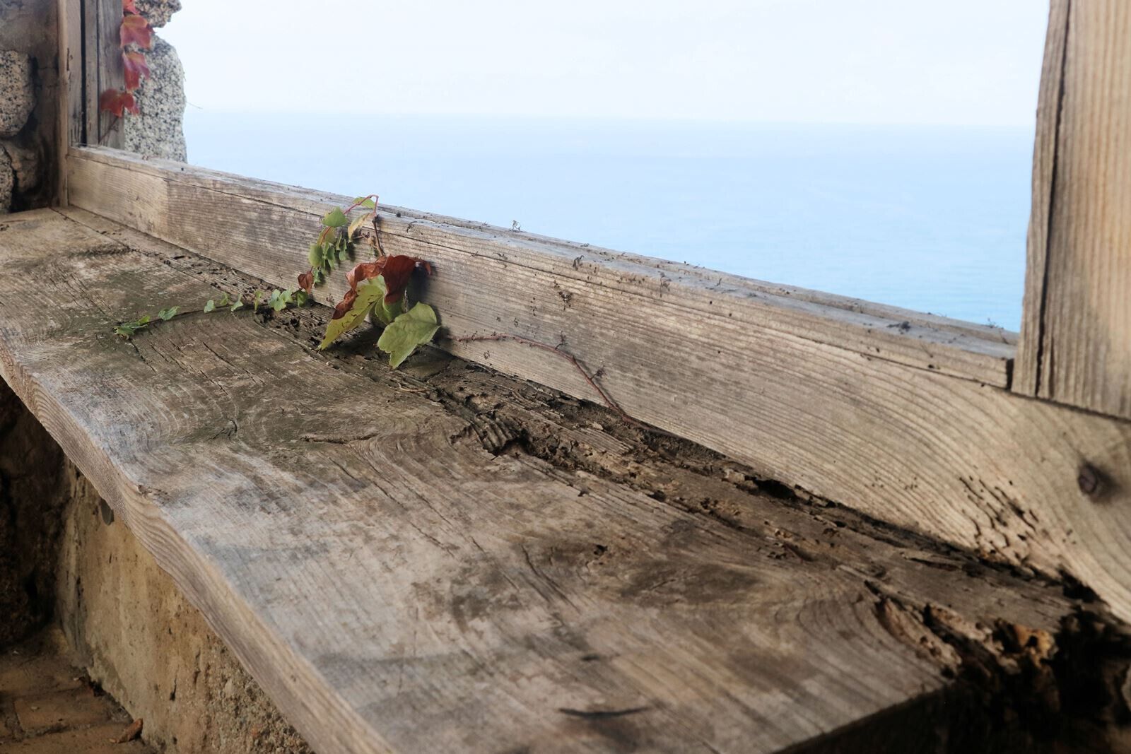 A wooden bench with a view of the sea.