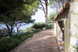 Un vialetto in mattoni che conduce a un edificio con tetto in tegole, immerso nel verde e alberi.
