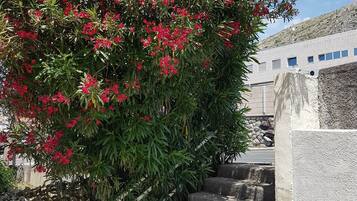 Studio (Studio Apartment 2) | Extérieur