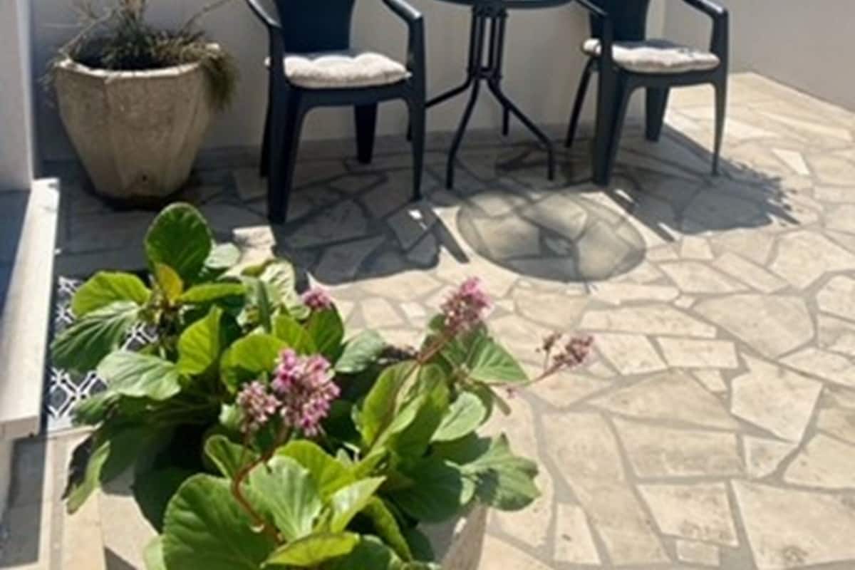 Una terraza con dos sillas y una mesa, rodeada de plantas en macetas y un piso de piedra.