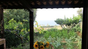 Ein überdachter Außenbereich mit Tisch und Stühlen, eine Vase mit Sonnenblumen und Blick auf einen Garten und die Ferne.